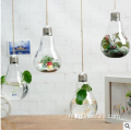 Kleine hangende helderglazen traanvaas onregelmatig terrarium